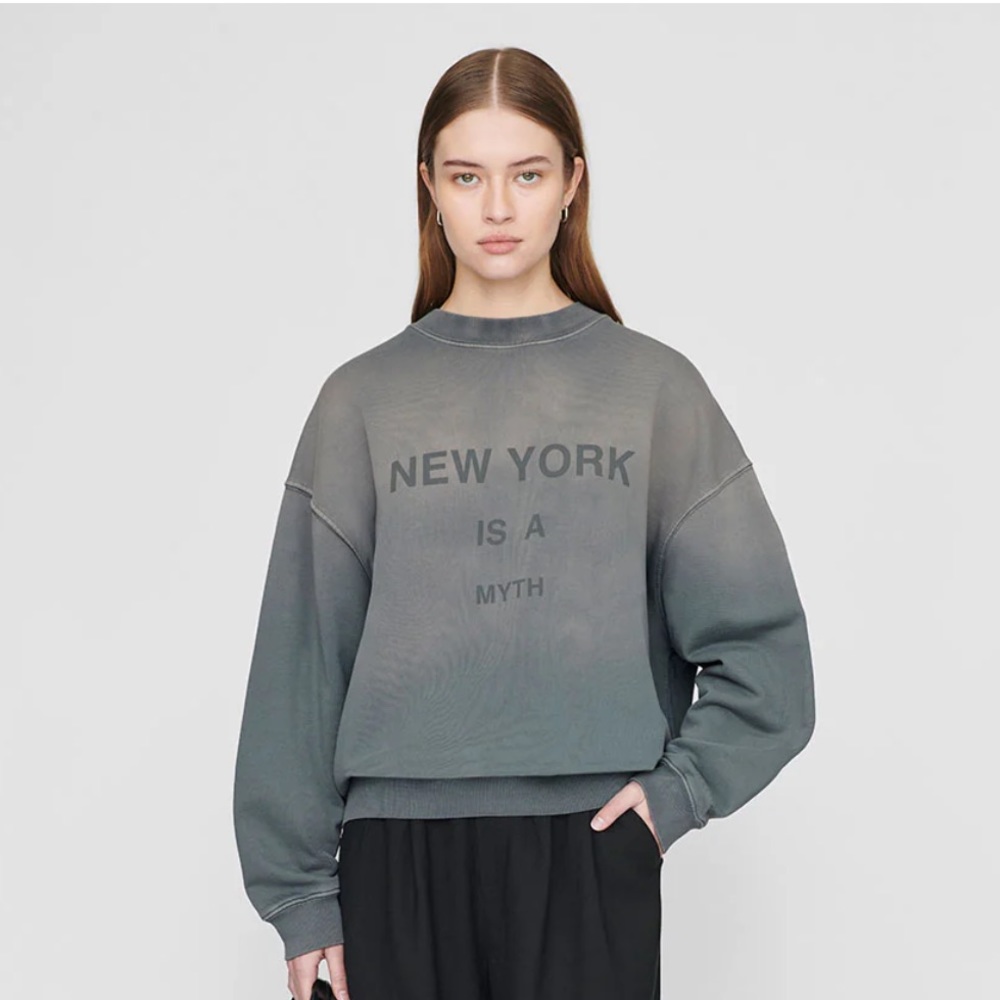 Anine Bing sweatshirt